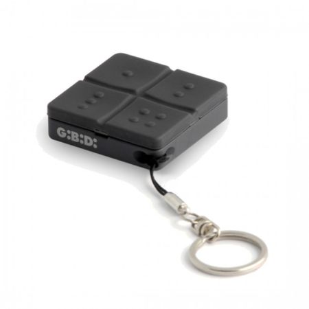 Click Here To Enlarge This Photo Of GIBIDI Domino Transmitter